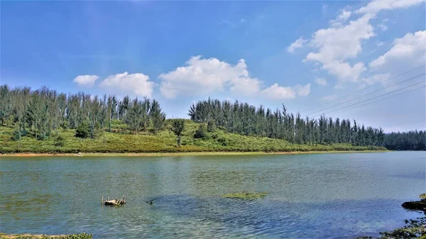 Çam ormanı, Ooty, Tamilnadu, Hindistan 'dan Sandynulla Gölü' nün güzel manzarası. Güney Hindistan 'ın en sevdiği balayı yeri..