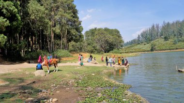 Ooty, Tamilnadu, Hindistan-30 Nisan 2022: Çam ormanı, Ooty, Tamilnadu, Hindistan 'dan Sandynulla Gölü manzarasının tadını çıkaran turistler.