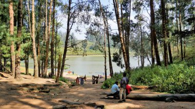 Ooty, Tamilnadu, Hindistan-30 Nisan 2022: Çam ormanı, Ooty, Tamilnadu, Hindistan 'dan Sandynulla Gölü manzarasının tadını çıkaran turistler.