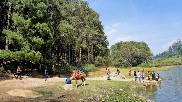 Ooty, Tamilnadu, Hindistan-30 Nisan 2022: Çam ormanı, Ooty, Tamilnadu, Hindistan 'dan Sandynulla Gölü manzarasının tadını çıkaran turistler.