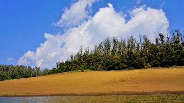 Pykara Gölü, Ooty, Tamilnadu 'nun güzel manzarası. Gökyüzünün muhteşem manzarası, su ve tekne yolculuğundan görülebilen yeşil çalılar. Güney Hindistan 'daki en iyi balayı yeri..