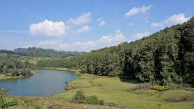 Pykara Şelaleleri, Ooty, Tamilnadu 'nun güzel manzaraları. Güney Hindistan 'daki en iyi balayı yeri.