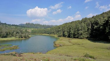 Pykara Şelaleleri, Ooty, Tamilnadu 'nun güzel manzaraları. Güney Hindistan 'daki en iyi balayı yeri.
