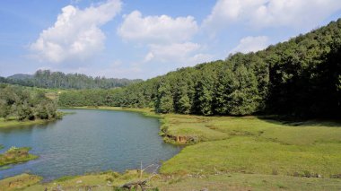 Pykara Şelaleleri, Ooty, Tamilnadu 'nun güzel manzaraları. Güney Hindistan 'daki en iyi balayı yeri.