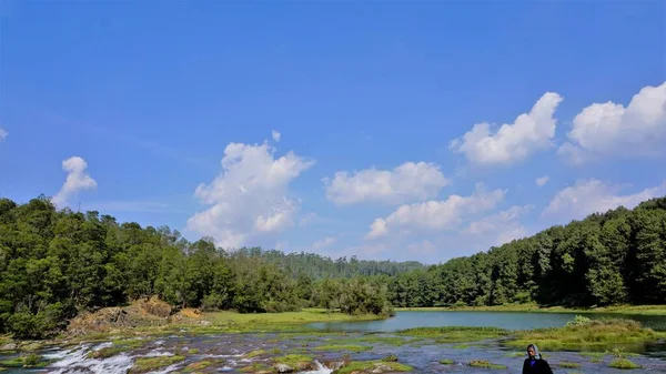 Pykara Şelaleleri, Ooty, Tamilnadu 'nun güzel manzaraları. Güney Hindistan 'daki en iyi balayı yeri.