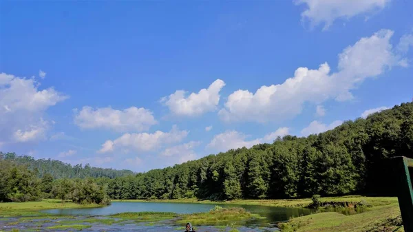 Pykara Şelaleleri, Ooty, Tamilnadu 'nun güzel manzaraları. Güney Hindistan 'daki en iyi balayı yeri.