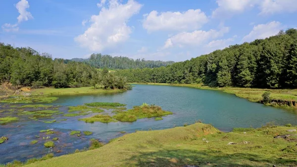 Pykara Şelaleleri, Ooty, Tamilnadu 'nun güzel manzaraları. Güney Hindistan 'daki en iyi balayı yeri.
