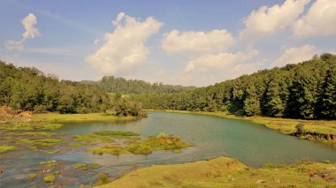 Pykara Şelaleleri, Ooty, Tamilnadu 'nun güzel manzaraları. Gün batımında akan su. Güney Hindistan ve Asya 'daki en iyi balayı yeri..