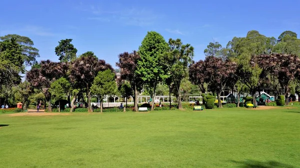 Ooty Tamilnadu Índia Abril 2022 Beautiful Government Botanical Gardens Ooty — Fotografia de Stock
