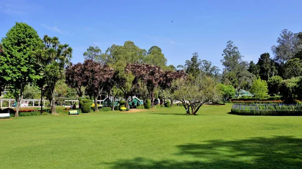 Ooty Tamilnadu Indien April 2022 Vackra Statliga Botaniska Trädgårdar Ooty — Stockfoto