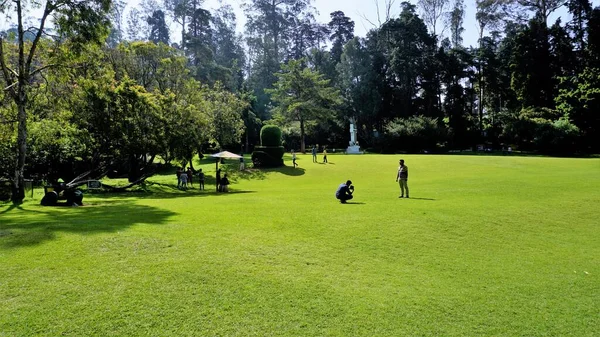 Ooty Tamilnadu India Beautiful Government Botanical Gardens Ooty Tamilnadu 타밀나두 — 스톡 사진