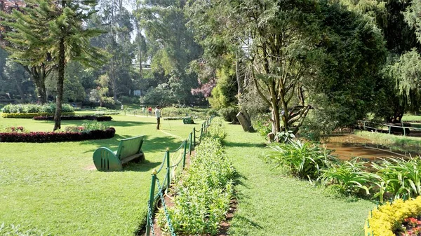 Ooty Tamilnadu Inde Avril 2022 Beaux Jardins Botaniques Gouvernement Ooty — Photo