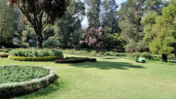 Ooty Tamilnadu Inde Avril 2022 Beaux Jardins Botaniques Gouvernement Ooty — Photo