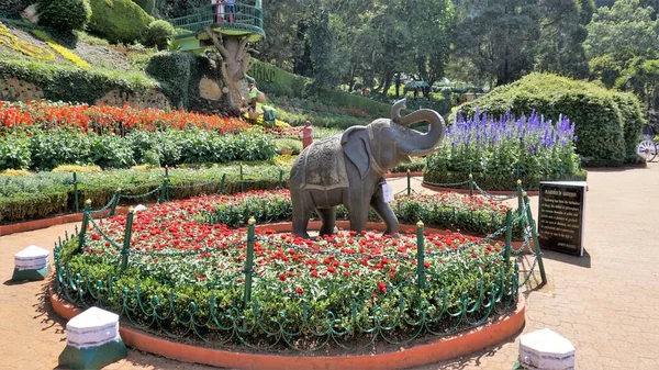 Ooty Tamilnadu Indien April 2022 Vackra Statliga Botaniska Trädgårdar Ooty — Stockfoto