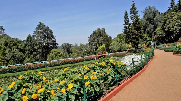 Ooty Tamilnadu India April 2022 Prachtige Botanische Tuinen Van Overheid — Stockfoto