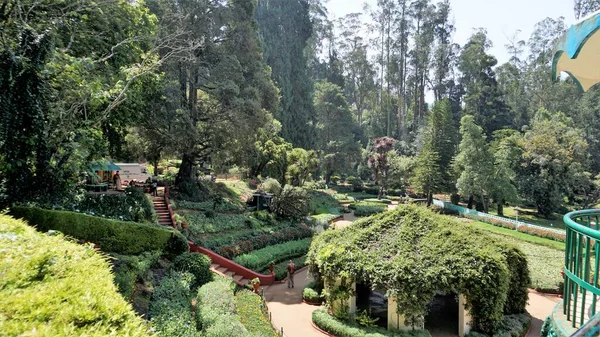 Ooty Tamilnadu India April 2022 Prachtige Botanische Tuinen Van Overheid — Stockfoto