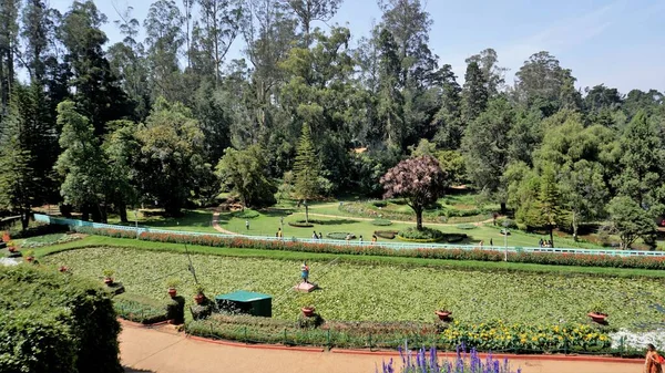 Ути Тамилнаду Индия Апреля 2022 Года Правительственные Ботанические Сады Ути — стоковое фото