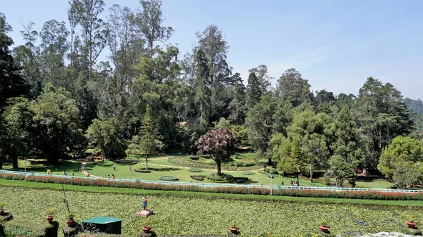Ooty Tamilnadu Indien April 2022 Vackra Statliga Botaniska Trädgårdar Ooty — Stockfoto