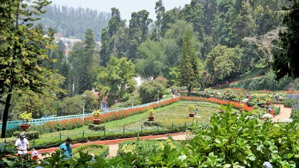 Ooty Tamilnadu India April 2022 Prachtige Botanische Tuinen Van Overheid — Stockfoto