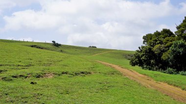 Wenlock Downs 9. Mil Atış Noktası 'nın güzel ve muhteşem manzaraları. Aile zamanı, fotoğrafçılık, gezmek ve serin esintinin tadını çıkarmak için mükemmel doğal yemyeşil arazi..