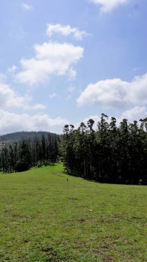 Wenlock Downs 9. Mil Atış Noktası 'nın güzel ve muhteşem manzaraları. Aile zamanı, fotoğrafçılık, gezmek ve serin esintinin tadını çıkarmak için mükemmel doğal yemyeşil arazi..