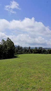 Wenlock Downs 9. Mil Atış Noktası 'nın güzel ve muhteşem manzaraları. Aile zamanı, fotoğrafçılık, gezmek ve serin esintinin tadını çıkarmak için mükemmel doğal yemyeşil arazi..