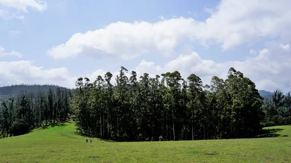Мбаппе Удивительные Пейзажи Уэнлока Дюранта Почувствуйте Природную Пышную Зелень Фотографируйтесь — стоковое фото