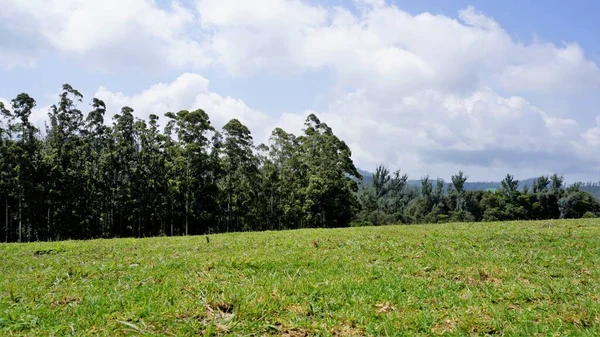 Όμορφα Και Καταπληκτικά Τοπία Του Wenlock Downs Mile Σκοποβολή Point — Φωτογραφία Αρχείου