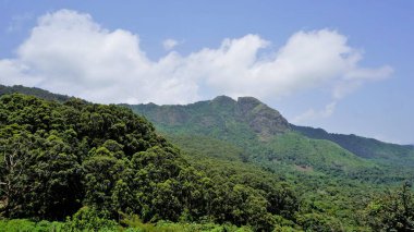 Ooty 'nin güzel manzaraları. Kayaların üzerinde yeşil örtülü dağlar ve açık bulutlu gökyüzü. Aile zamanı ve rahatlama için en iyi yer..