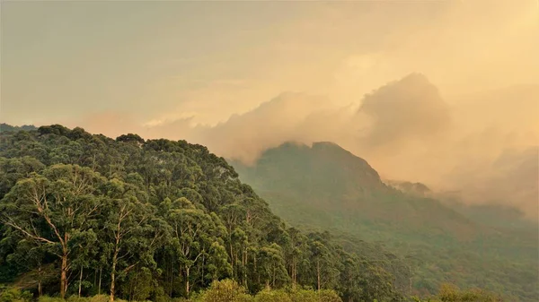 Schöne Landschaften Von Ooty Berge Mit Grüner Bedeckung Auf Felsen — Stockfoto