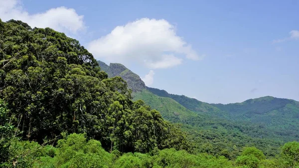 Ooty Nin Güzel Manzaraları Kayaların Üzerinde Yeşil Örtülü Dağlar Açık — Stok fotoğraf