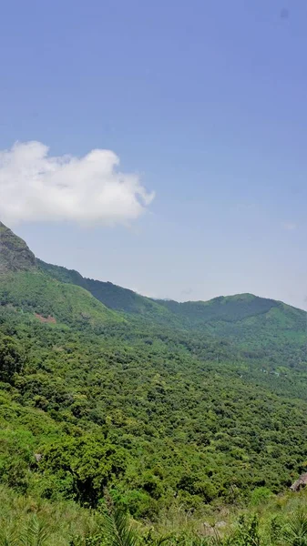 Beaux Paysages Ooty Montagnes Avec Couverture Verte Sur Les Rochers — Photo