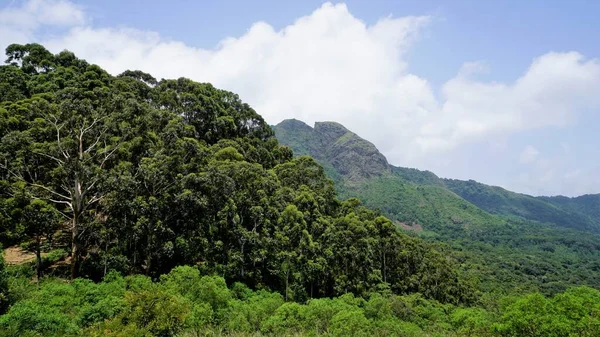 Lindas Paisagens Ooty Montanhas Com Cobertura Verde Sobre Rochas Céu — Fotografia de Stock