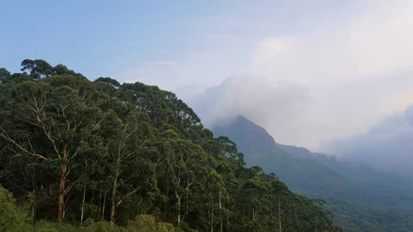 Piękne Krajobrazy Ooty Góry Zieloną Osłoną Skałach Przejrzyste Zachmurzone Niebo — Zdjęcie stockowe