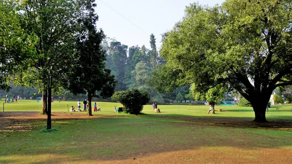 Ooty Tamilnadu India April 2022 Beautiful Government Botanical Gardens Ooty — Stockfoto