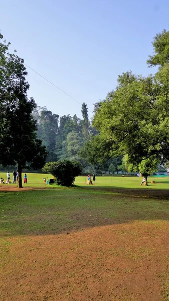 Ooty Tamilnadu India April 2022 Beautiful Government Botanical Gardens Ooty — Stockfoto