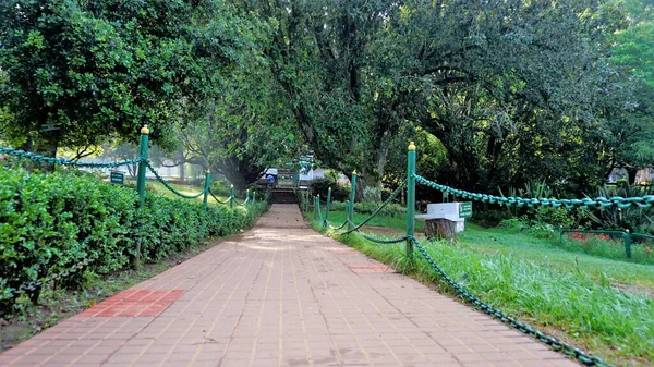 Ooty Tamilnadu India April 2022 Beautiful Government Botanical Gardens Ooty —  Fotos de Stock