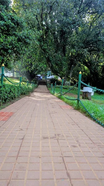 Ooty Tamilnadu India April 2022 Krásné Vládní Botanické Zahrady Ooty — Stock fotografie