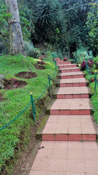 Ooty Tamilnadu India April 2022 Beautiful Government Botanical Gardens Ooty — Stockfoto