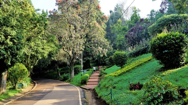 Ooty Tamilnadu India April 2022 Beautiful Government Botanical Gardens Ooty — стокове фото