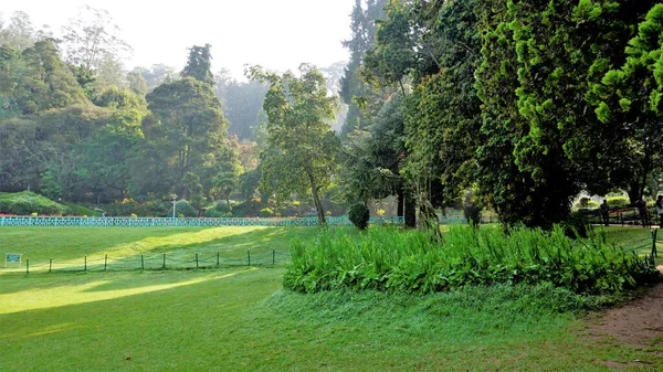 Ooty Tamilnadu India April 2022 Beautiful Government Botanical Gardens Ooty — Stock Photo, Image