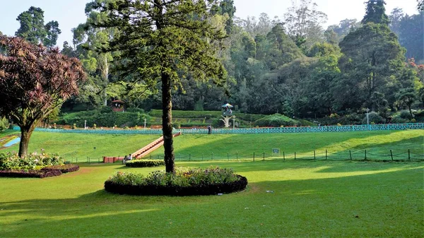 Ooty Tamilnadu India April 2022 Beautiful Government Botanical Gardens Ooty — Photo