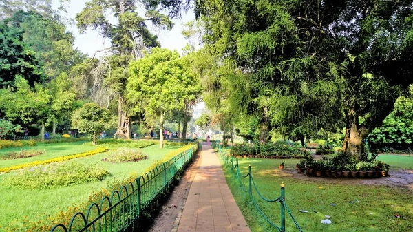 Ooty Tamilnadu India Aprile 2022 Bellissimi Giardini Botanici Governativi Ooty — Foto Stock
