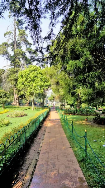 Ooty Tamilnadu India April 2022 Beautiful Government Botanical Gardens Ooty — Zdjęcie stockowe