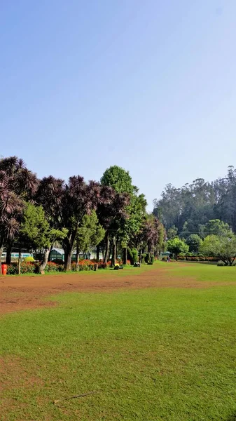Ooty Tamilnadu India April 2022 Beautiful Government Botanical Gardens Ooty — Stockfoto