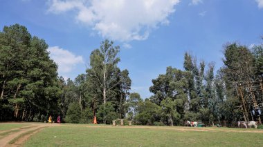 Ooty 'den güzel manzaralar. En iyi duvar kağıdı resimleri