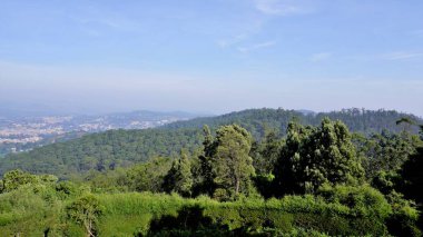 Ooty 'den güzel manzaralar. En iyi duvar kağıdı resimleri