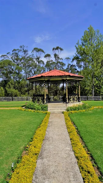 Beautiful Landscapes Government Tea Park Ooty Best Scenic Location Ooty — Fotografia de Stock
