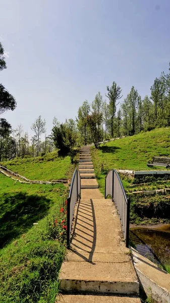 Beautiful Landscapes Government Tea Park Ooty Best Scenic Location Ooty — Stockfoto