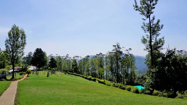 Beautiful Landscapes Government Tea Park Ooty Best Scenic Location Ooty — стоковое фото